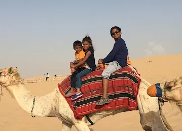 Desert Road Tourism LLC