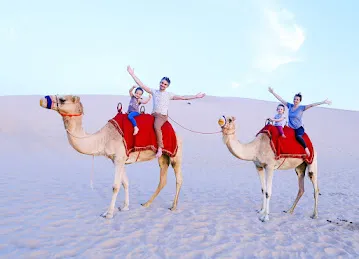 Desert Rose Tourism Dubai