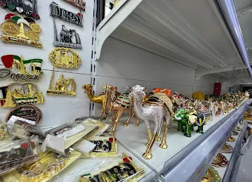 DESERT SAFARI