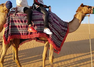 Desert Safari Adventure