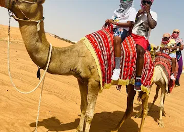 Desert Safari Dubai by Musk Tours