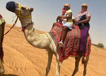 Desert Safari Dubai by Musk Tours