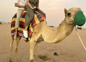 Desert Safari Dubai by Musk Tours