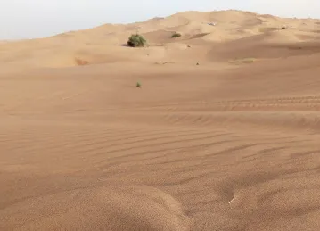Desert Safari Dubai - Dune Buggy and Quad Bike Rental Dubai
