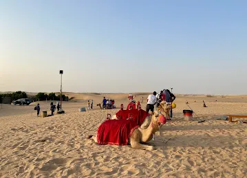 Desert Safari Dubai - Dune Buggy and Quad Bike Rental Dubai