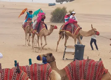 Desert Safari Dubai - The Dune Bashing