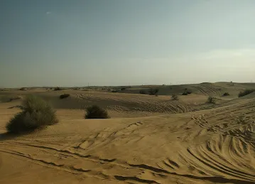 Desert Safari Gulf