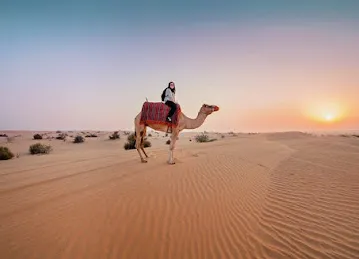 Desert Safari Tours Dubai | Top Things to do Deals, City Tours, Dhow Cruise Private tours and More