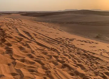 DESERT SKY TOURISM L.L.C