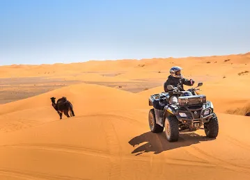 Desert Thrill Tourism