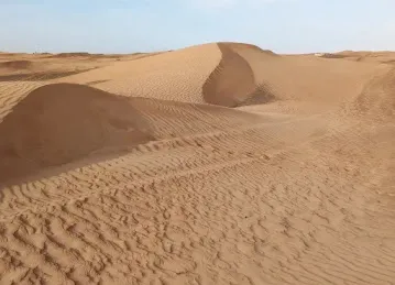 Desert Thrill Tourism