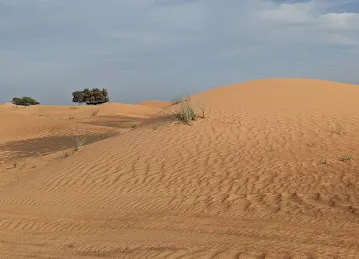 Desert Thrill Tourism