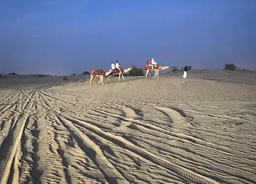 Desert Tigers Tourism L.L.C