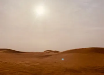 Desert Tigers Tourism L.L.C