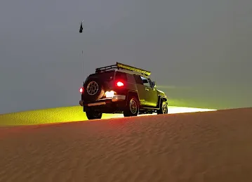 Desert Turtles - Picnic Spot