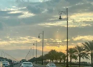 Dhaid Rd - Shj SAIF Zone Opp Stop