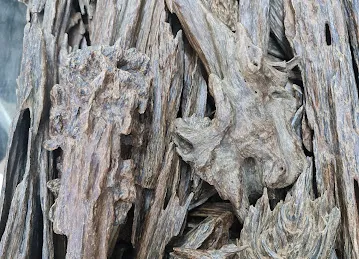 Dhamma Trading Co LLC - Agarwood Shop