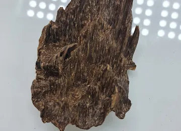 Dhamma Trading Co LLC - Agarwood Shop