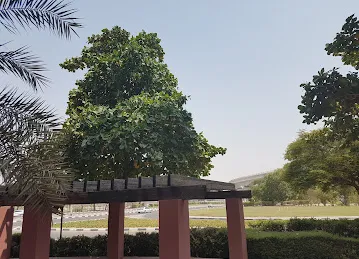 DHCC Parking