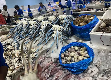 迪拜海鲜市场