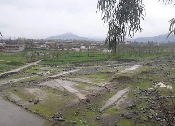 dibba al hisn nursery