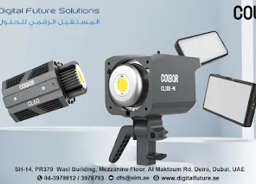 Digital Future Solutions LLC