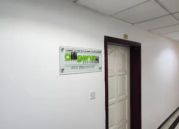 Diligenz Systems