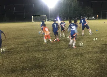 DIP Soccer Ground