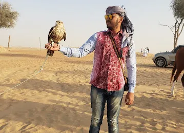 Discount Desert Safari