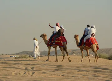 Discount Desert Safari