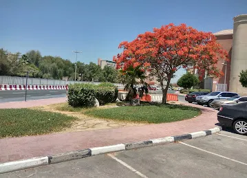Discovery Garden 15
