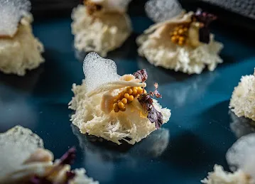 Dish Catering and Events Dubai