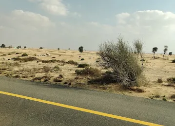 Divine Desert Safari Dubai