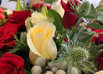 DIVINE FLOWERS DUBAI