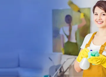 Dmaids Cleaning Services