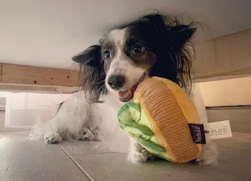 Doggy Be : Eco-friendly beds, toys and accessories for cat, dog and pet parents