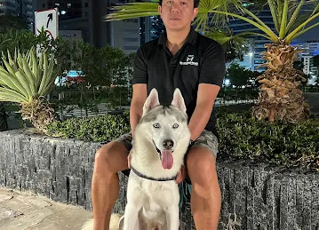 Doghouse.ae - Pet Furniture in UAE