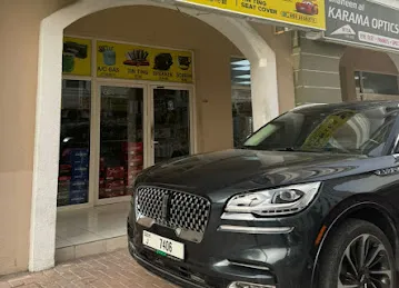 Dolphin Car Accesories