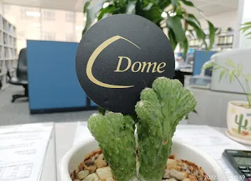 Dome Oilfield Engineering & Services LLC