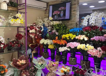 Dora Flowers