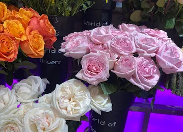 Dora Flowers