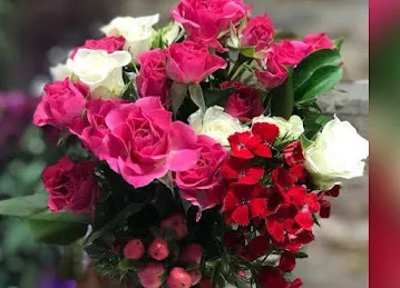 Dora Flowers