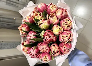 Double Jenya Flower Shop