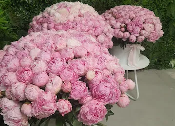 Double Jenya Flower Shop