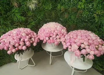 Double Jenya Flower Shop