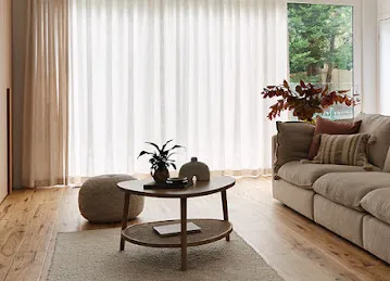 Dream Decor Carpets & Curtains