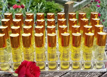 Dream Perfumes