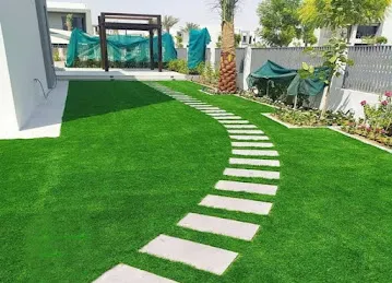 Dreamgrass AE