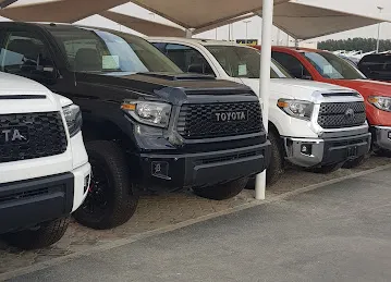 Dresden Motors Shj
