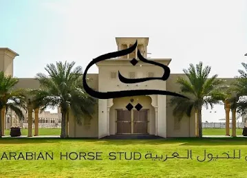 Dubai Arabian Horse Stud